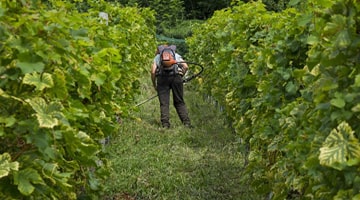 Pulvérisateur viticole : réglage, étalonnage et auto contrôle